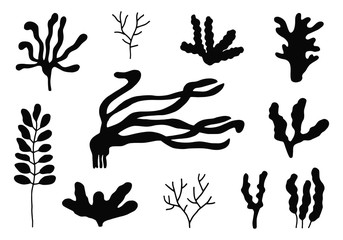 seaweed set. silhouette on a white background sketch in isolation © Yahor Shylau 