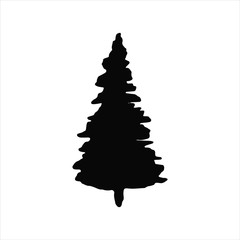 spruce is a silhouette on a white background sketch in isolation