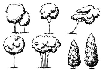 trees set silhouette on a white background sketch in isolation