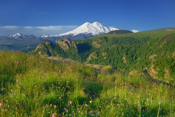 Fototapeta premium Summer in mountains