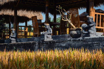 Fototapeta na wymiar Interior of a traditional Balinese cafe in a rice field. Ubud, Bali, Indonesia.