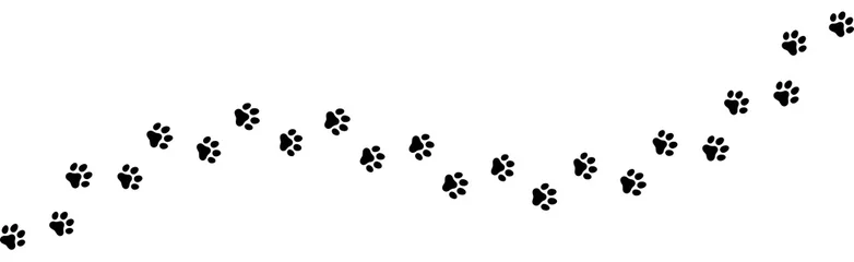 Foto op Plexiglas Seamless texture of a Paw print trail on white background. Vector cat or dog, pawprint walk line path pattern background © FourLeafLover
