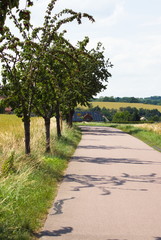 road in the countryside