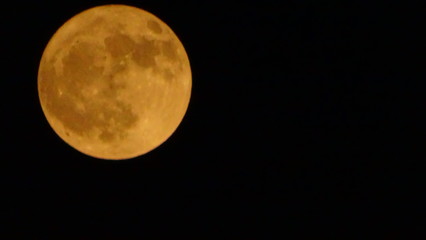 Fototapeta premium Full Moon