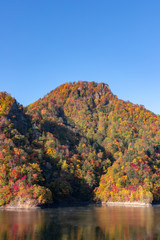 Obraz premium 札幌湖の紅葉