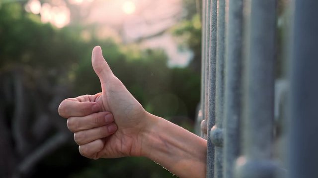 Hand shows various gestures. Different emotions with gestures. A hand peeks out from behind the bars and shows a welcome, like and dislike sign.