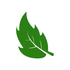 green leaf icon vector design symbol