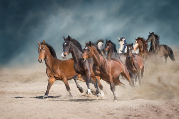 Horse herd run free on desert dust against storm sky - obrazy, fototapety, plakaty