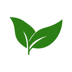 green leaf icon vector design symbol