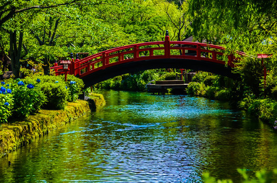 Japanese Bridge In The River