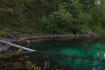 Sacrificial Saula blue springs in a pond, Estonia, Europe. Natural wonder