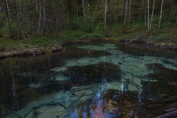Sacrificial Saula blue springs in a pond, Estonia, Europe. Natural wonder