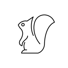 Squirrel line icon. Icon design. Template elements