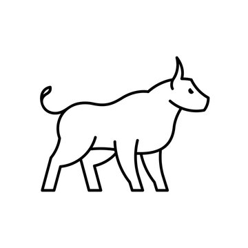 Bull line icon. Icon design. Template elements