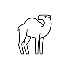 Camel line icon. Icon design. Template elements