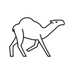 Camel line icon. Icon design. Template elements