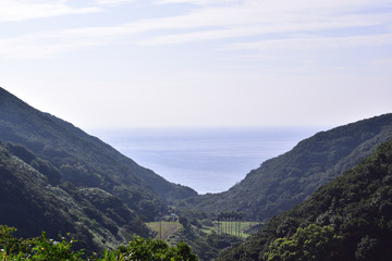 Naklejka premium 海が好き