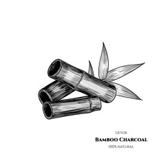 Vector bamboo charcoal. Hand drawn. Vintage style