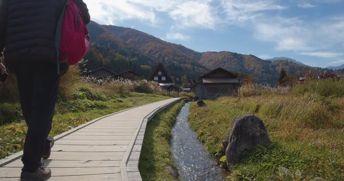 Historic Village of Ogimachi in Shirakawa-gō, UNESCO World Heritage Site, a small, traditional village showcasing a building style known as gasshō-zukuri. Japan.