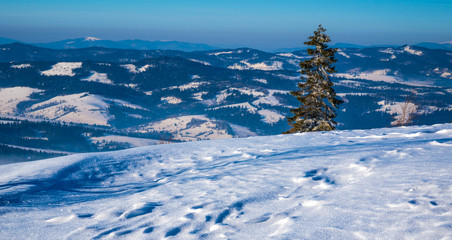 Beautiful winter panorama of the hills