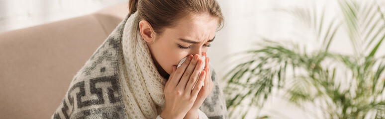 panoramic shot of sick girl, wrapped in blanket, sneezing in napkin