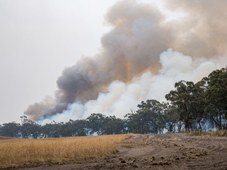 Fototapeta na wymiar smoke from a large bushfire