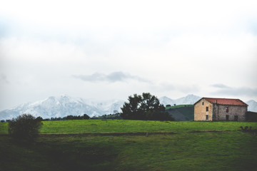 house on the hill