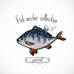 Hand drawn set watercolor ink, menu restaurant, sketch cartoon print vector illustration, sea food