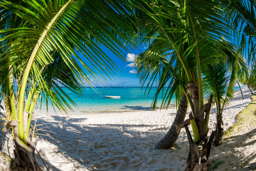 Luxury beach with coconut palms, sand and quiet ocean. Tropical banner