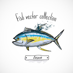 Hand drawn set watercolor ink, menu restaurant, sketch cartoon print vector illustration, sea food