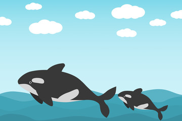 A killer whale and its babyt in the sea