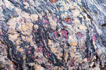 Sea stone texture. Panel texture. Spots gray red background. Background fill. Natural stone background.