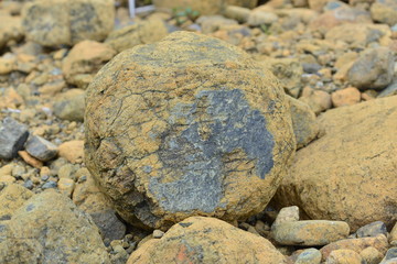 Peridotite, Mantle Rock with Serpentine 