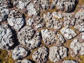 The white rock on the floor