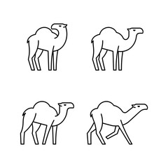 Set of Camels line icons. Icon design. Template elements