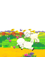 Plakat cartoon scene with sheep having fun on the farm on white background - illustration for children