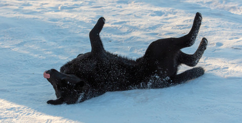 25+ Free Cute Winter Screensavers | Free HD Downloads - Pikwizard