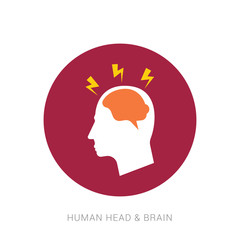 Silhouette head with brain vector flat illustration isolated