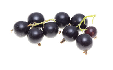 Ripe blackcurrant berries on a white background
