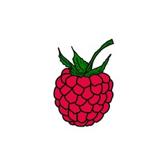 Bright pink single raspberry with a green stalk on a white background. Raspberry close-up illustration. Isolated object for your design.