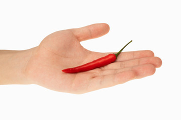 chili hold in hand on white background