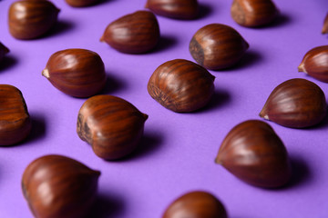 Ripe chestnuts close up. Raw Chestnuts for Christmas. Fresh sweet chestnut. Food on violet background