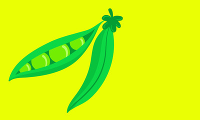 vector illustration of green beans