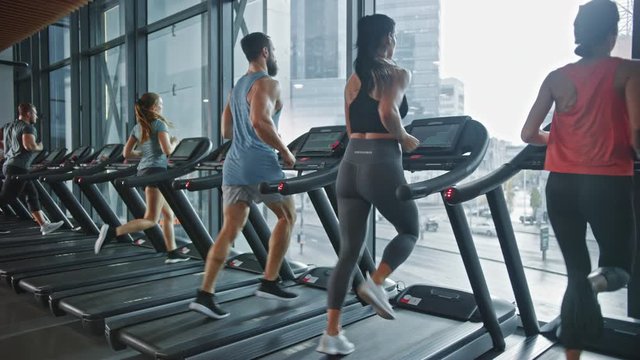 Group of Six Athletic People Running on Treadmills, Doing Fitness Exercise. Athletic People Actively Workout in the Modern Gym. Sports People Workout in Fitness Club. Side View Slow Motion