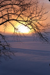 Winter landscape. Warm sunlight at winter at sunset. Frost and fog, Christmas background