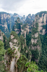 Pillar rock formations in Zhangjiajie National Forest Park (China). Vertical orientation - 306149305