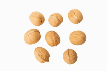 many walnuts on white background