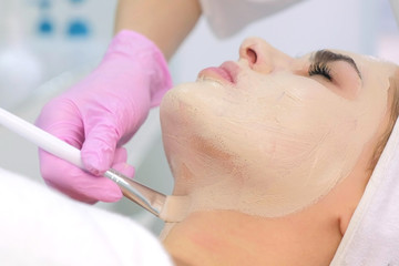 Obraz na płótnie Canvas Cosmetologist applying moisturizing mask with brush on woman client face and neck in clinic. Portrait of woman closeup. Beautician making facial skincare procedure to patient. Beauty industry concept.
