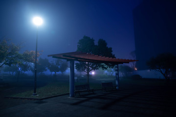 霧の夜の公園
