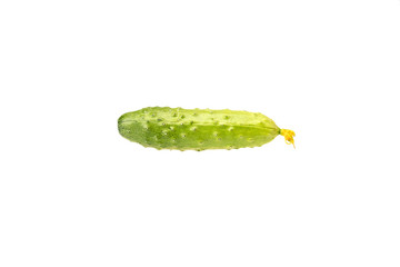 cucumber on white background isolated